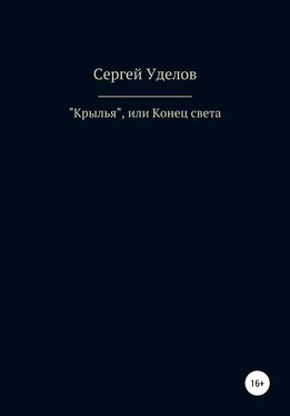 Сергей Уделов «Крылья», или Конец света обложка книги