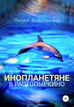 Лилия Андоськина Инопланетяне в Растопыркино обложка книги