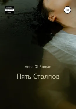 Anna Ol Roman Пять Столпов обложка книги