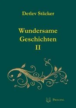 Detlev Stäcker Wundersame Geschichten II обложка книги