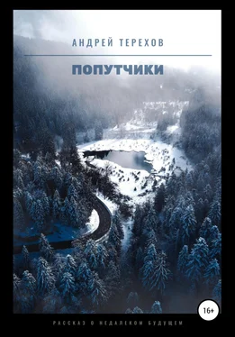 Андрей Терехов Попутчики обложка книги