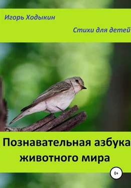 Игорь Ходыкин Познавательная азбука животного мира обложка книги