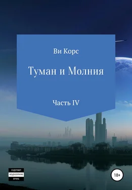 Ви Корс Туман и Молния. Книга IV обложка книги