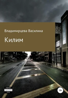 Василина Владимирцева Килим обложка книги