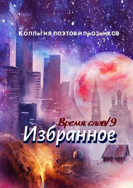 Эльвира Шабаева Избранное. Время слов. Том 9 обложка книги