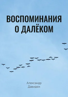 Александр Давидюк Воспоминания о далёком обложка книги