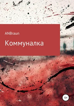 ANBraun Коммуналка обложка книги