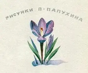 Снежное чудо - фото 11