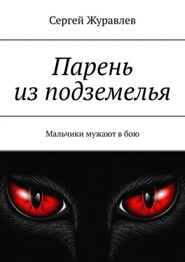 Сергей Журавлев Парень из подземелья. Мальчики мужают в бою обложка книги