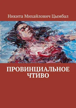 Никита Цымбал Провинциальное Чтиво обложка книги