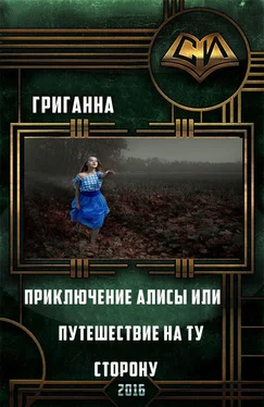 Анна Григ Приключения Алисы или Путешествие на ту сторону (СИ) обложка книги