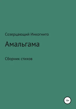 Созерцающий Инкогнито Амальгама обложка книги