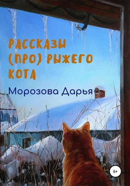 Дарья Морозова Рассказы (про) рыжего кота обложка книги