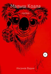 Вадим Ихсанов - Малыш коала