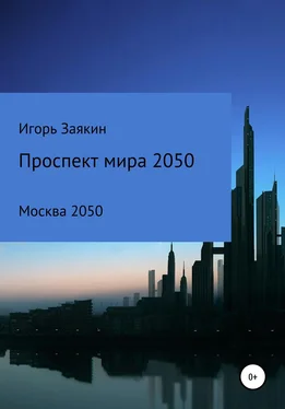 Игорь Заякин Проспект Мира Москва 2050 обложка книги