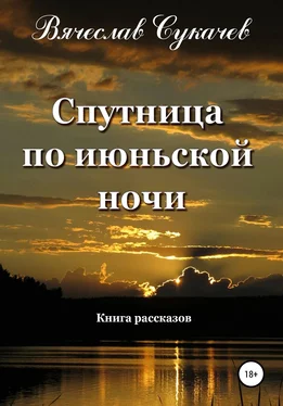 Вячеслав Сукачев Спутница по июньской ночи обложка книги