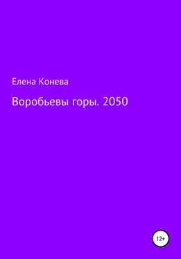 Елена Конева Воробьевы горы. 2050 обложка книги