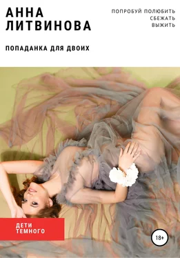 Анна Литвинова Попаданка для двоих обложка книги