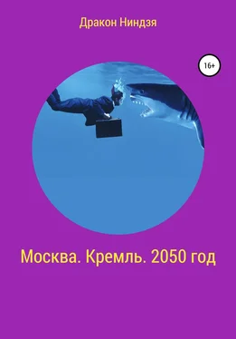 Дракон Ниндзя Москва. Кремль. 2050 год обложка книги