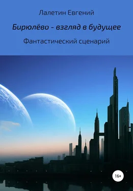 Евгений Лалетин Бирюлёво – взгляд в будущее обложка книги
