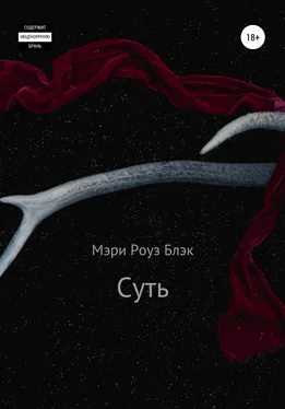 Мэри Роуз Блэк Суть