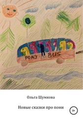 Ольга Шумкова - Новые сказки про пони