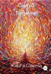 Сергей Ермаков - Книга света