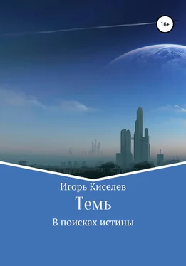 Игорь Киселев Темь. В поисках истины обложка книги