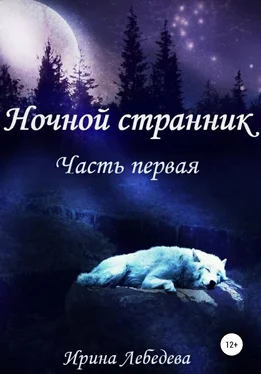 Ирина Лебедева Ночной странник. Часть первая обложка книги