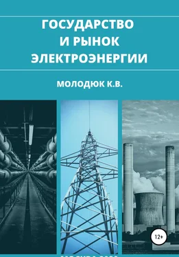 Константин Молодюк Государство и рынок электроэнергии обложка книги