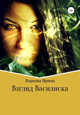 Ирина Боркова Взгляд Василиска обложка книги