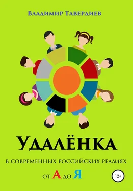 Владимир Тавердиев Удалёнка в современных российских реалиях от А до Я обложка книги