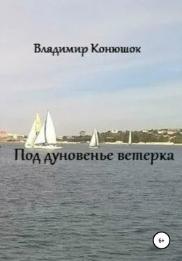 Владимир Конюшок Под дуновенье ветерка обложка книги