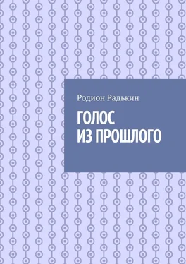 Родион Радькин Голос из прошлого обложка книги