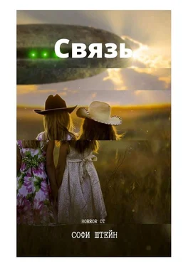 Софи Штейн Связь обложка книги