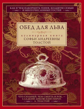 Софья Толстая Обед для Льва. Кулинарная книга Софьи Андреевны Толстой обложка книги