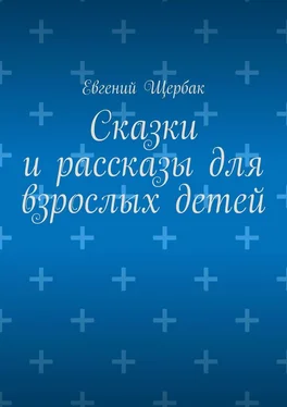 Евгений Щербак Сказки и рассказы для взрослых детей обложка книги
