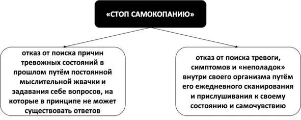 Рис 5 Правило Стоп самокопанию Как и многие беспокойные люди вы можете - фото 7