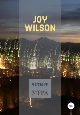 Joy Wilson Четыре утра обложка книги