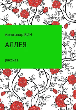 Александр ВИН Аллея обложка книги