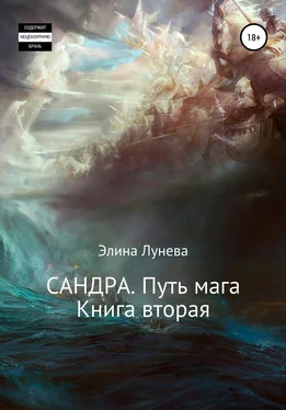 Элина Лунева Сандра. Путь мага. Книга вторая обложка книги