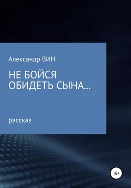 Александр ВИН Не бойся обидеть сына обложка книги