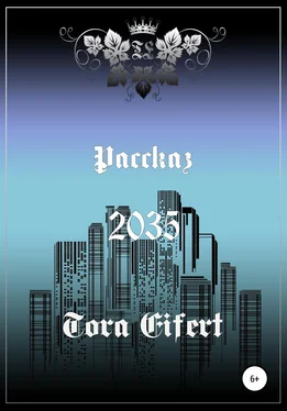 Тора Эйферт Рассказ «2035» обложка книги