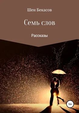 Шен Бекасов Семь слов обложка книги