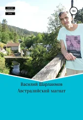Василий Шарлаимов - Австралийский магнат