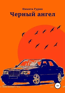 Никита Гурин Черный ангел обложка книги