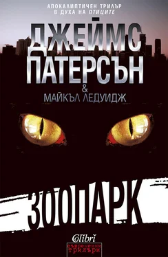 Джеймс Патерсън Зоопарк обложка книги