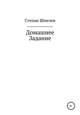 Степан Шмелев Домашнее задание обложка книги