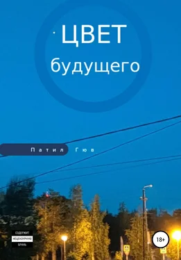 Патил Гюв Цвет будущего обложка книги