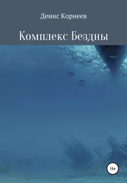 Денис Корнеев Комплекс Бездны обложка книги